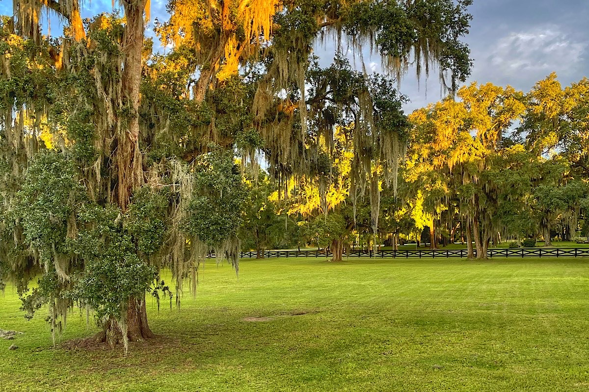 Sacred Oaks Farm